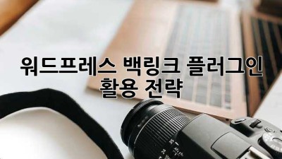 워드프레스 백링크 플러그인 활용 전략