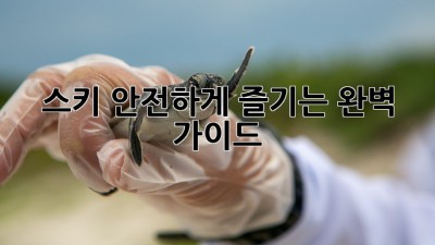 스키 안전하게 즐기는 완벽 가이드