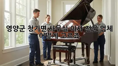 영양군 청기면 사무실 이사, 전문 업체 어떻게 고르죠?